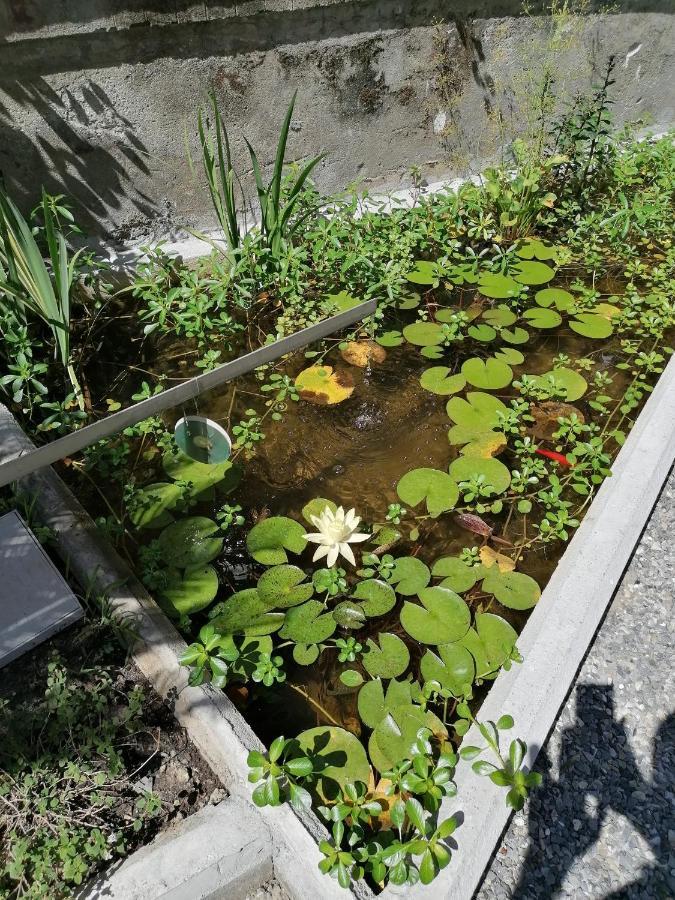 Il Giardino Di Elettra - Freeparking 2* Genoa